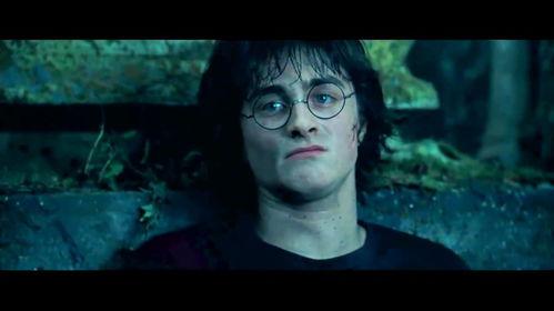 哈利波特4在线观看,火焰杯在线观影指南  第2张
