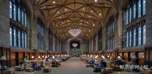 芝加哥大学爆料视频,惊人真相曝光  第1张